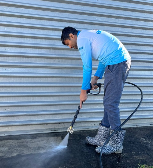 Driveways Cleaning service Tauranga