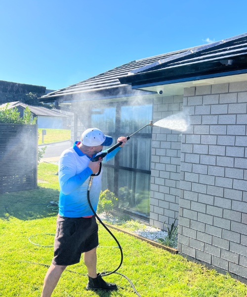 Professional Cleaning Services in NZ