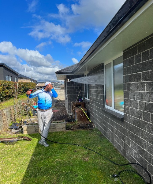 Professional Wall Cleaning Services in NZ