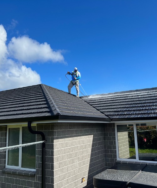 Professional roof washing Services in NZ