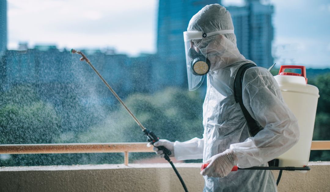 How Does Pest Control Spray Work Sun Softwash