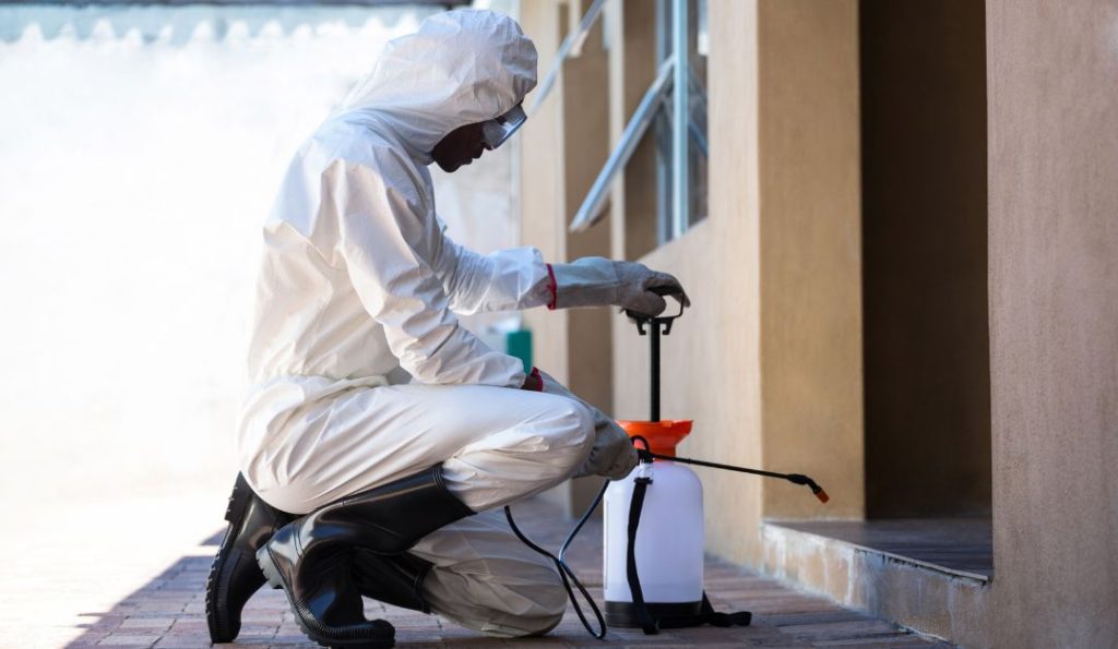 Significance Of Sprays In Pest Control
