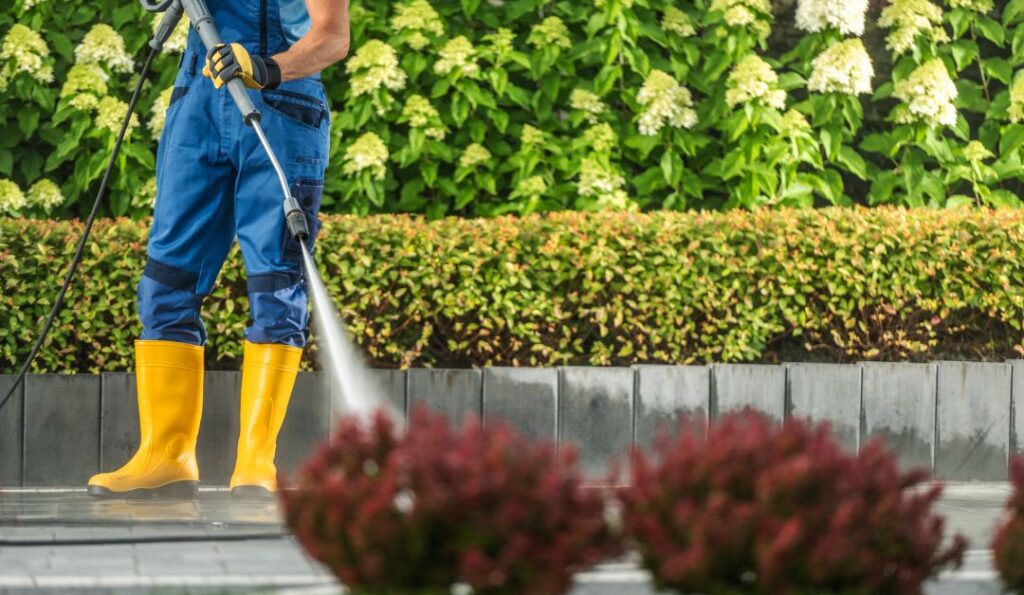 How To Choose The Best House Washing Service in Tauranga