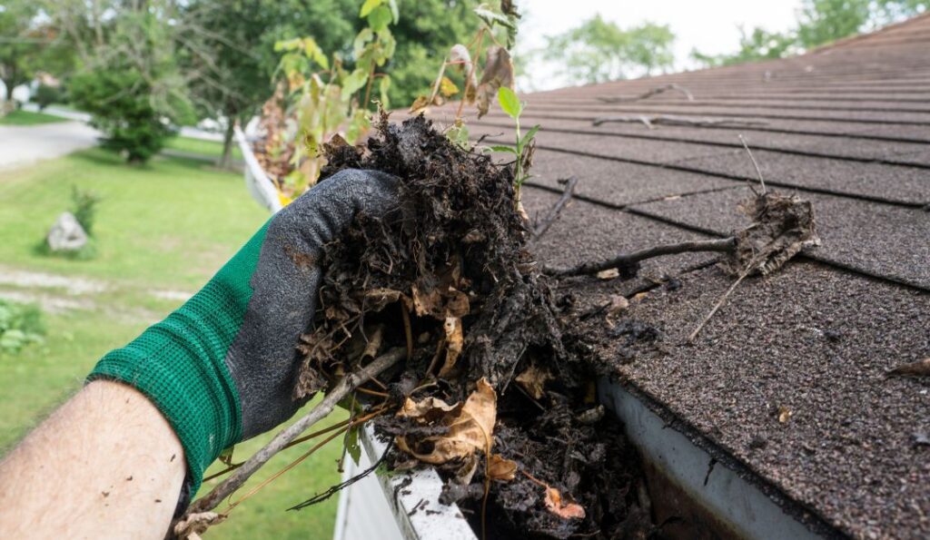 What Time of Year is Best for Gutter Cleaning in NZ?