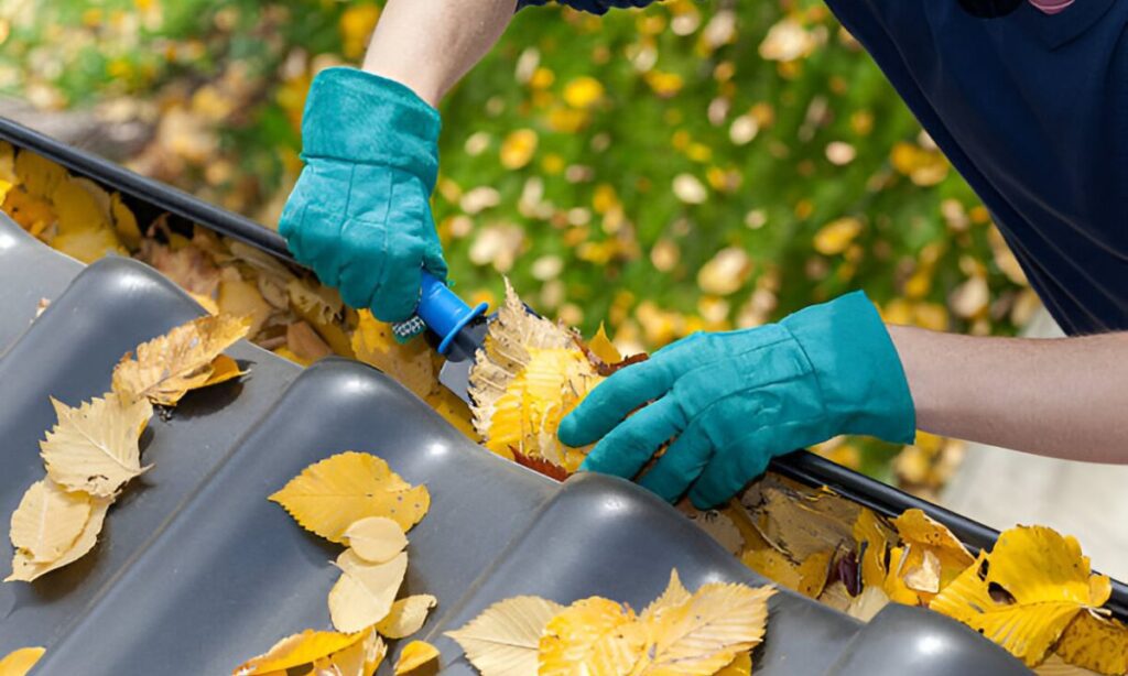 DIY vs. Professional Gutter Cleaning