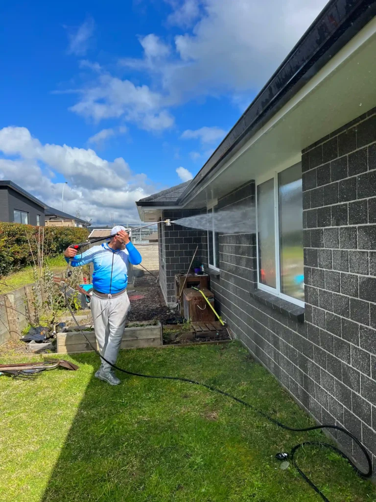 Best Way to Clean Windows in New Zealand 1 IMG 8277 2 11zon