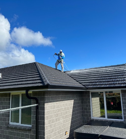 Roof Wash Service in Auckland