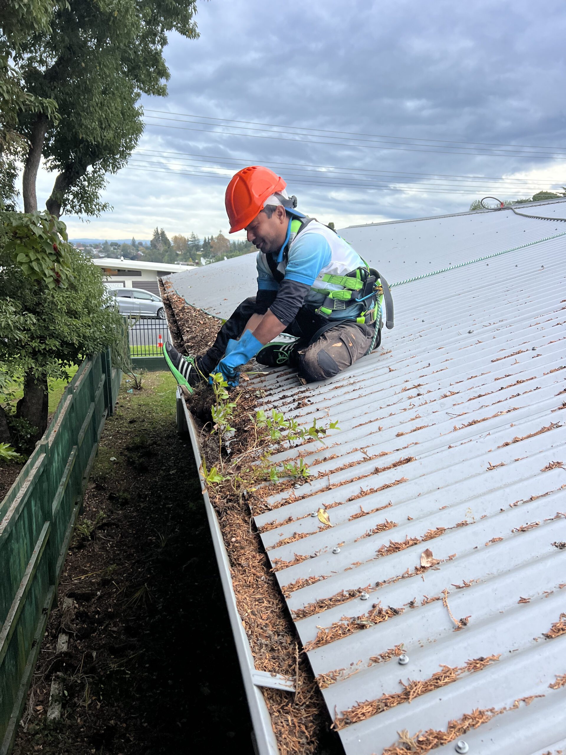 gutter clean tauranga hamilton