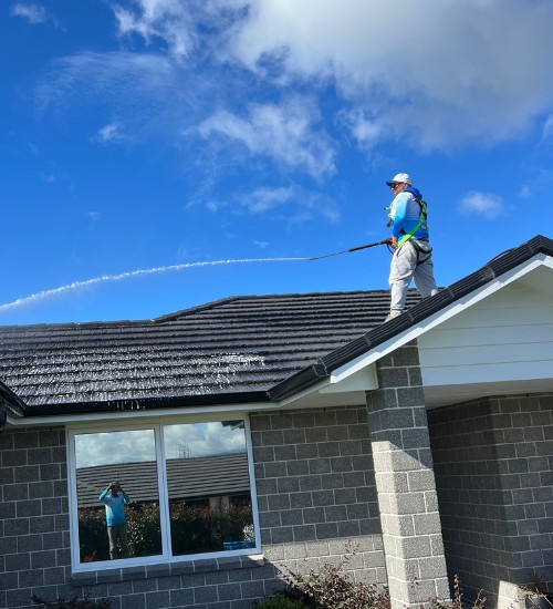 Roof Wash - Moss & Mould Treatment