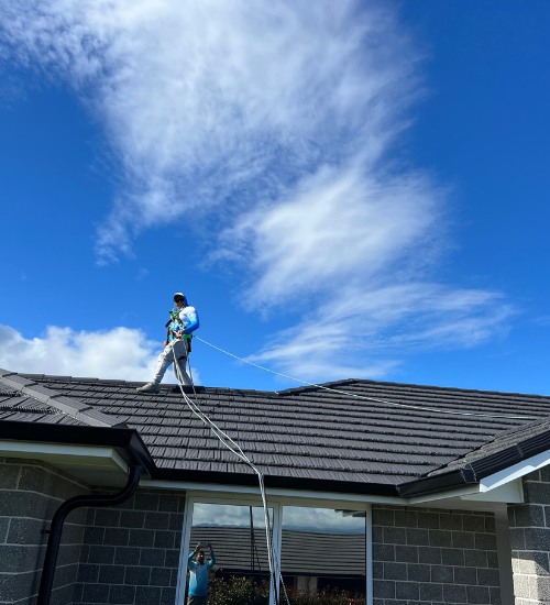 some of our roof moss & mold treatment works