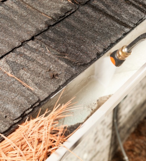 Expert gutter debris removal services in Tauranga to keep your home protected from blockages