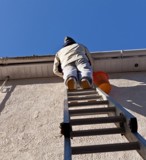 Safe and professional ladder work for gutter cleaning services in Tauranga