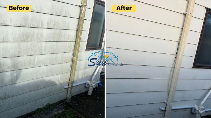 before after house wash tauranga(1)