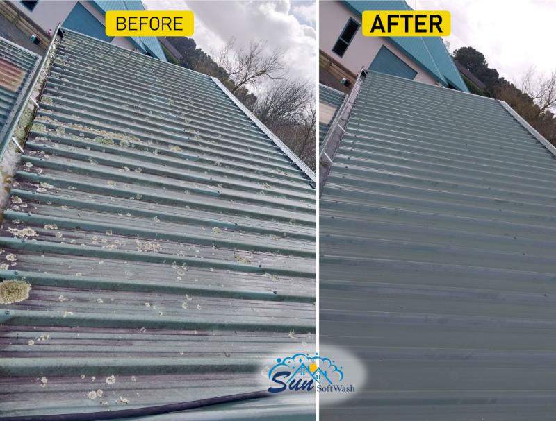 before after roof treatment Tauranga