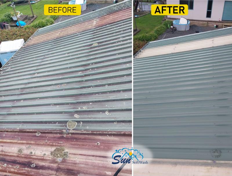 before after roof treatment hamilton