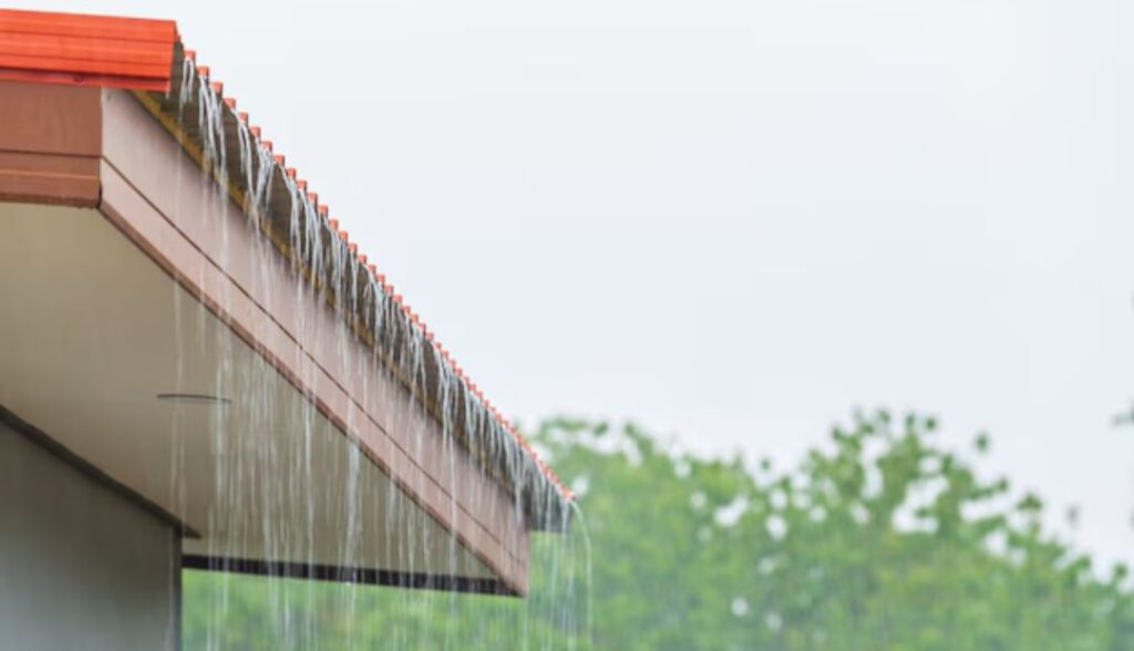 Exterior Clean During Tauranga Rainy Season
