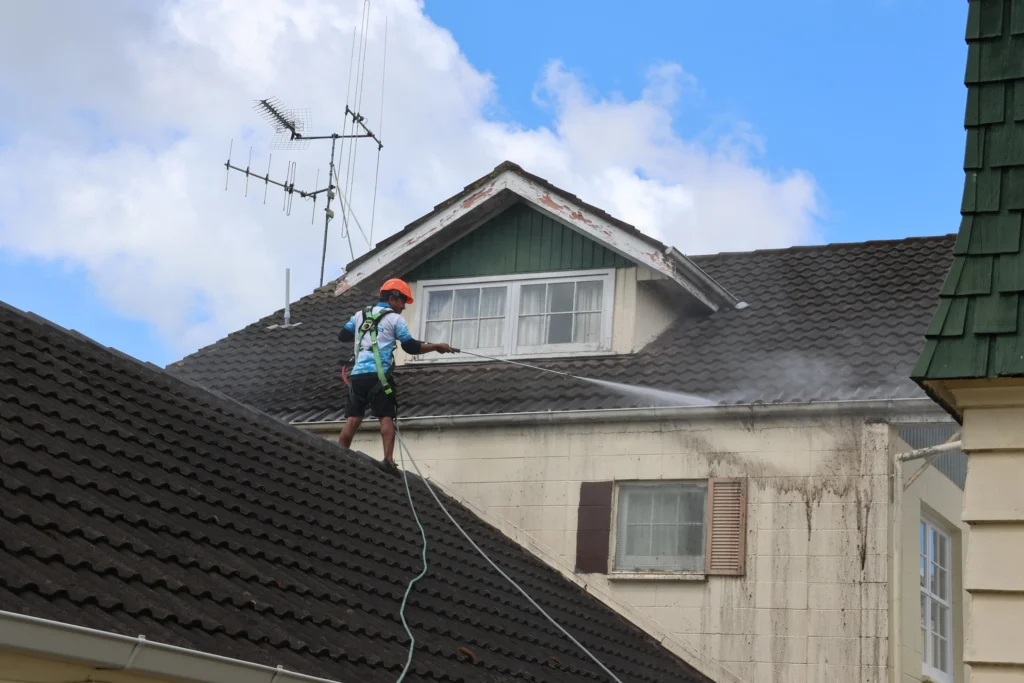 Gutter Cleaning