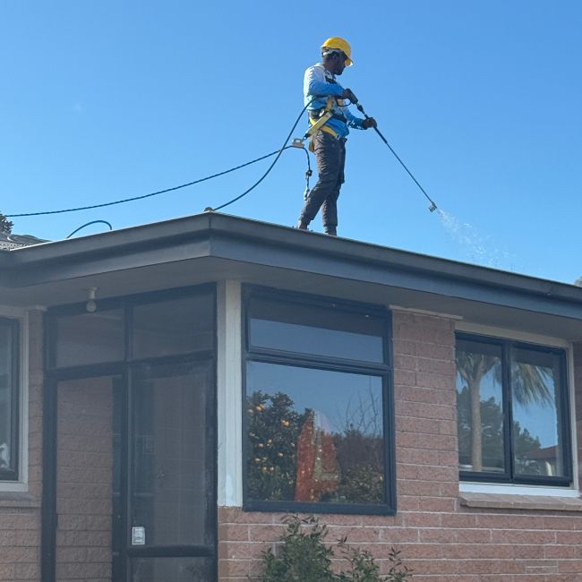 Roof Wash & Moss Treatment
