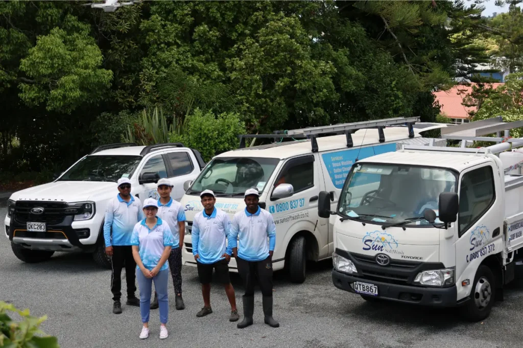 Choosing a Professional Soft Washing Service