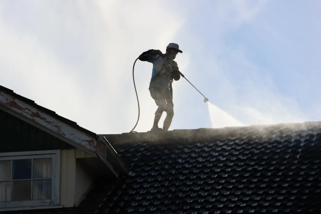 What Is Roof Treatment