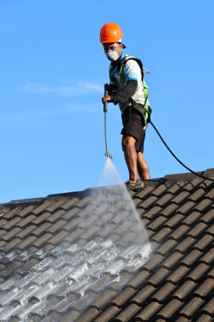 What’s Included in a Roof Treatment
