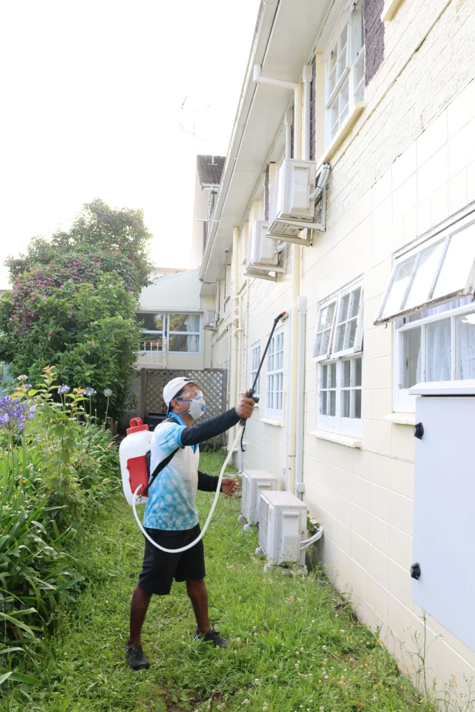 Spider Treatment Cost in New Zealand: A Comprehensive Guide 2 What Factors Influence the Cost of Spider Treatment?