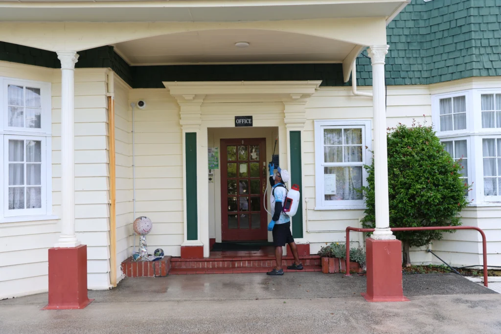 Spider Treatment Cost in New Zealand: A Comprehensive Guide 1 What is Spider Treatment and Why is It Important?