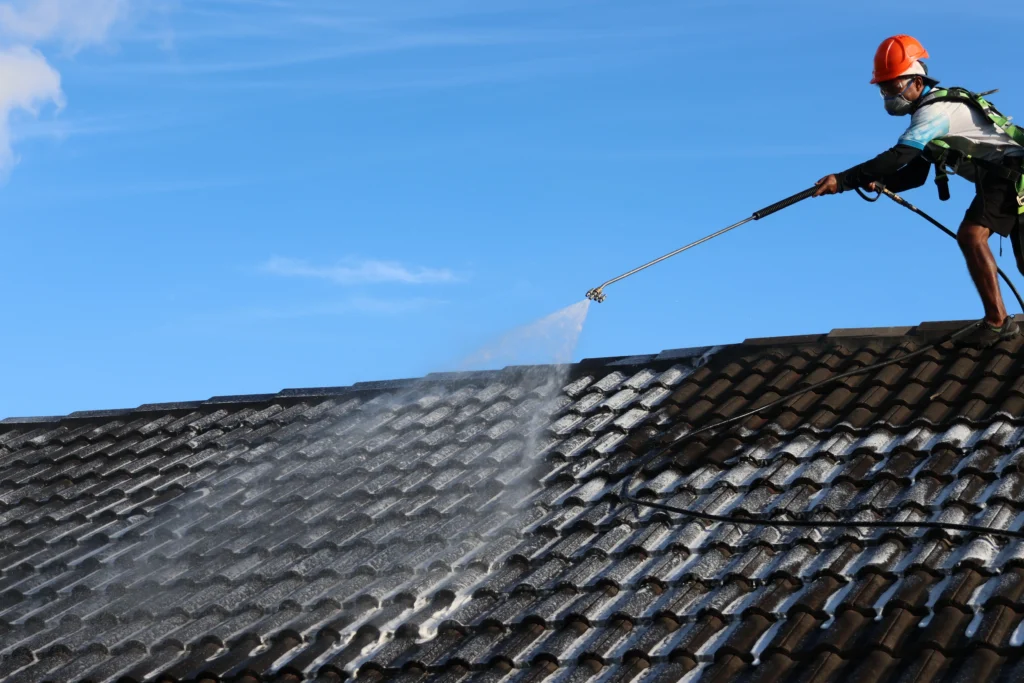 Roof Cleaning in Hamilton: Protect Your Home with Expert Care 1 Why is Roof Cleaning Important in Hamilton?