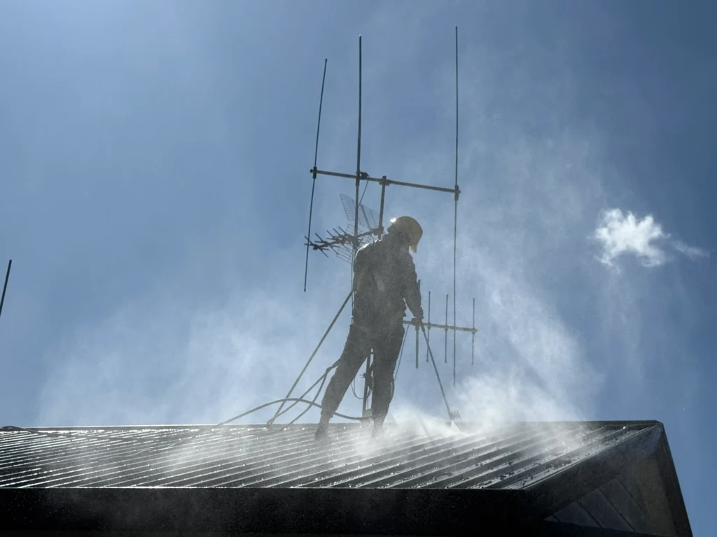 Roof Cleaning in Hamilton