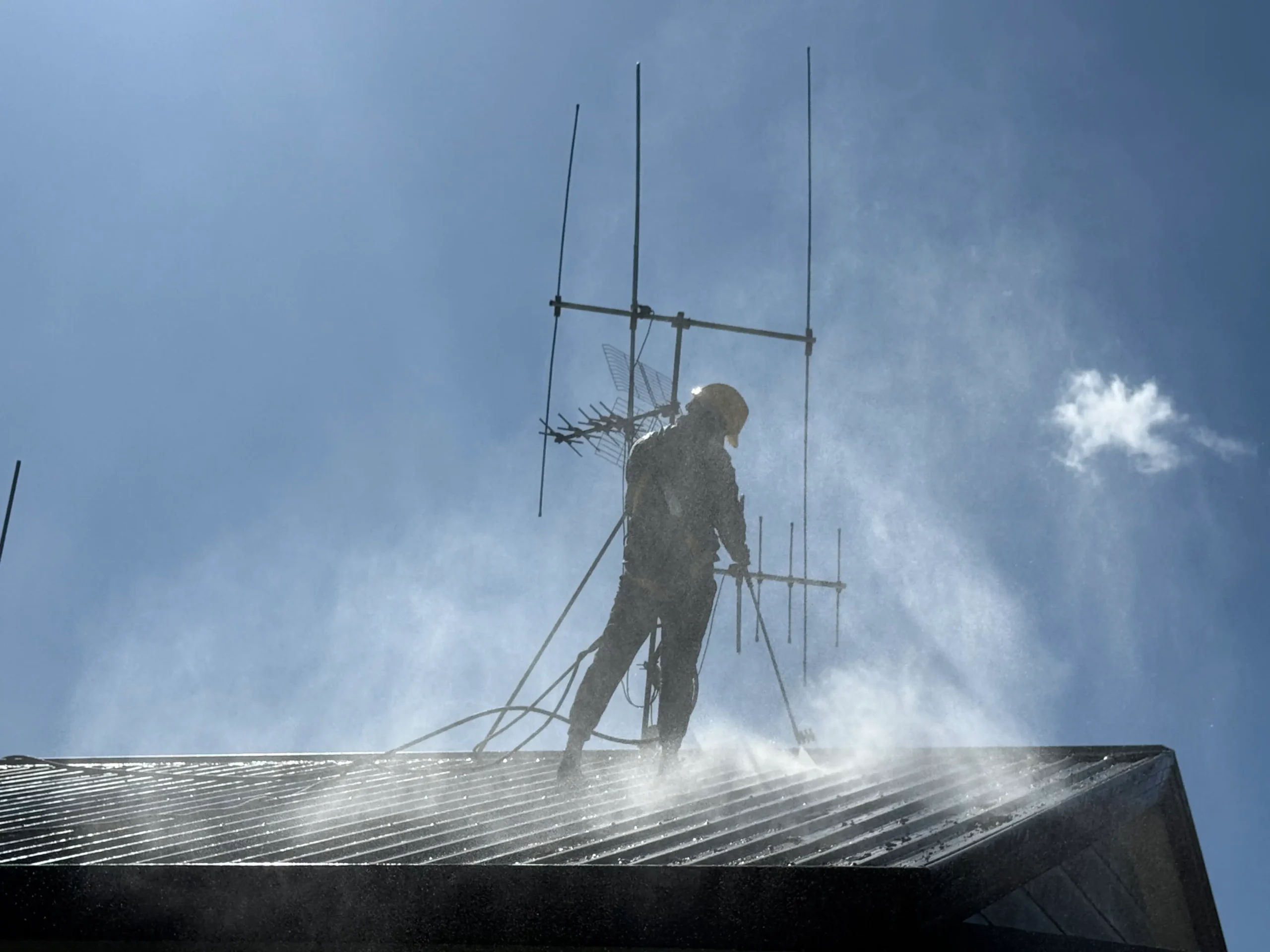 Roof Cleaning in Hamilton