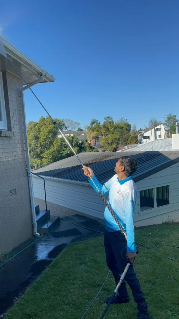 Why Outdoor House Cleaning is Important