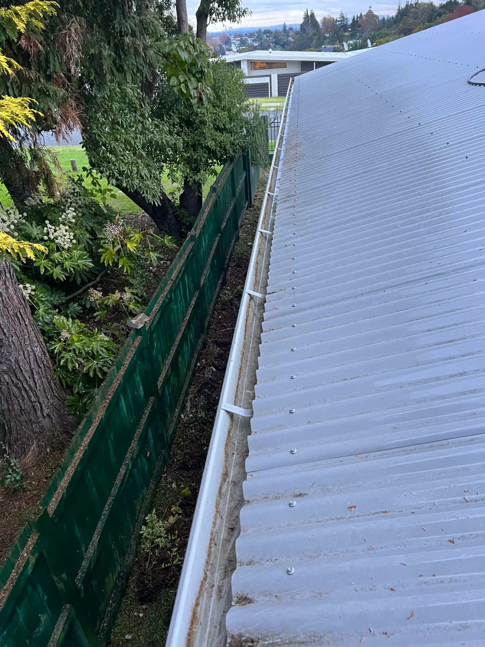 Why Clean Your Gutters after