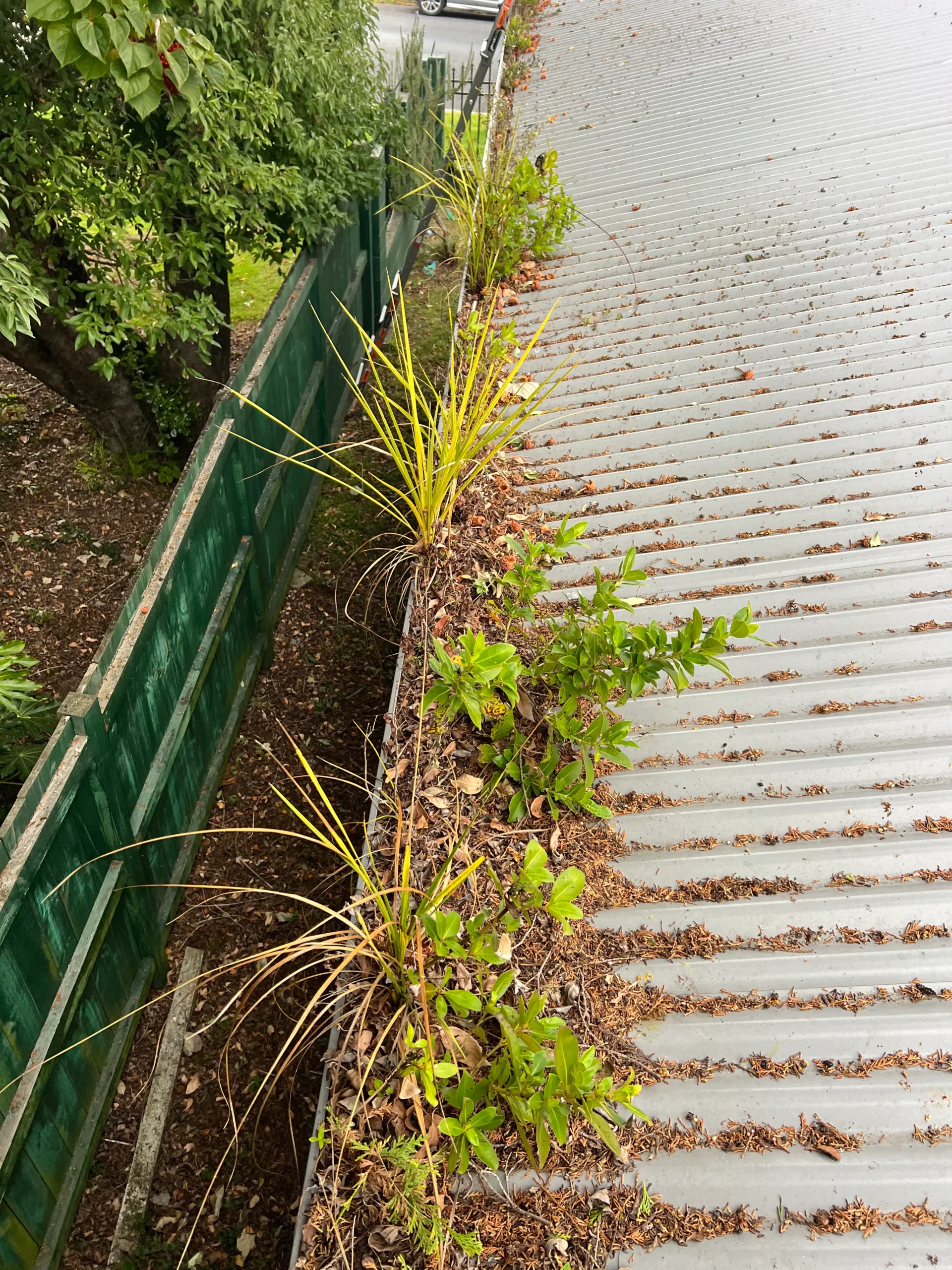 Why Clean Your Gutters before