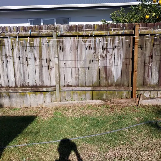 Best Fence cleaning company in NZ