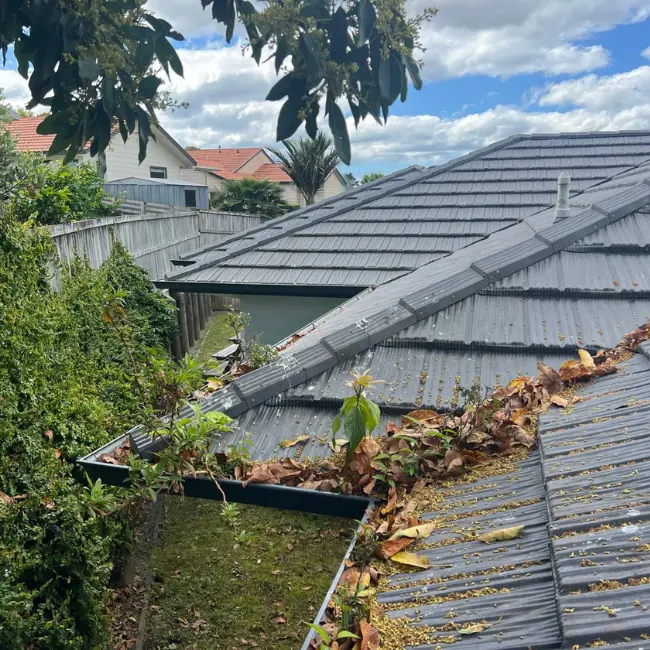 Gutter cleaning Company