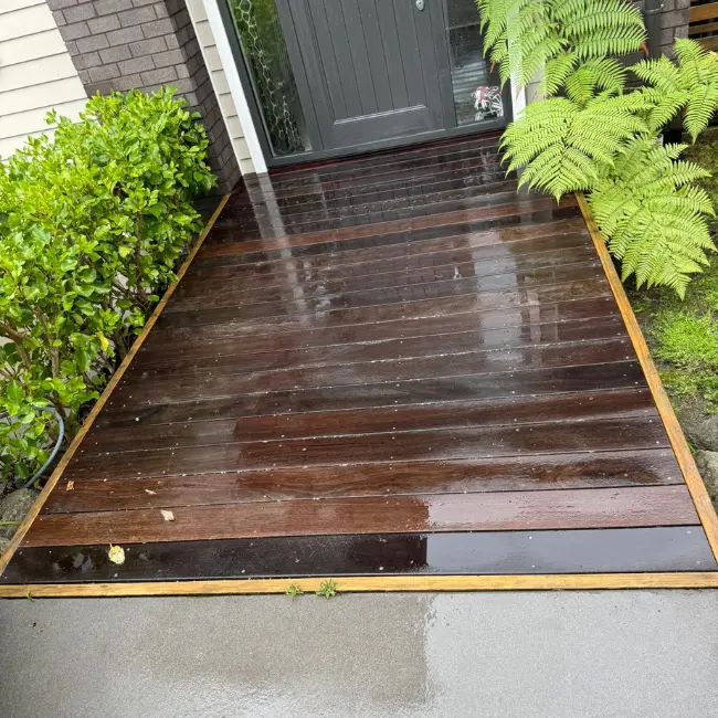 house washing hamilton