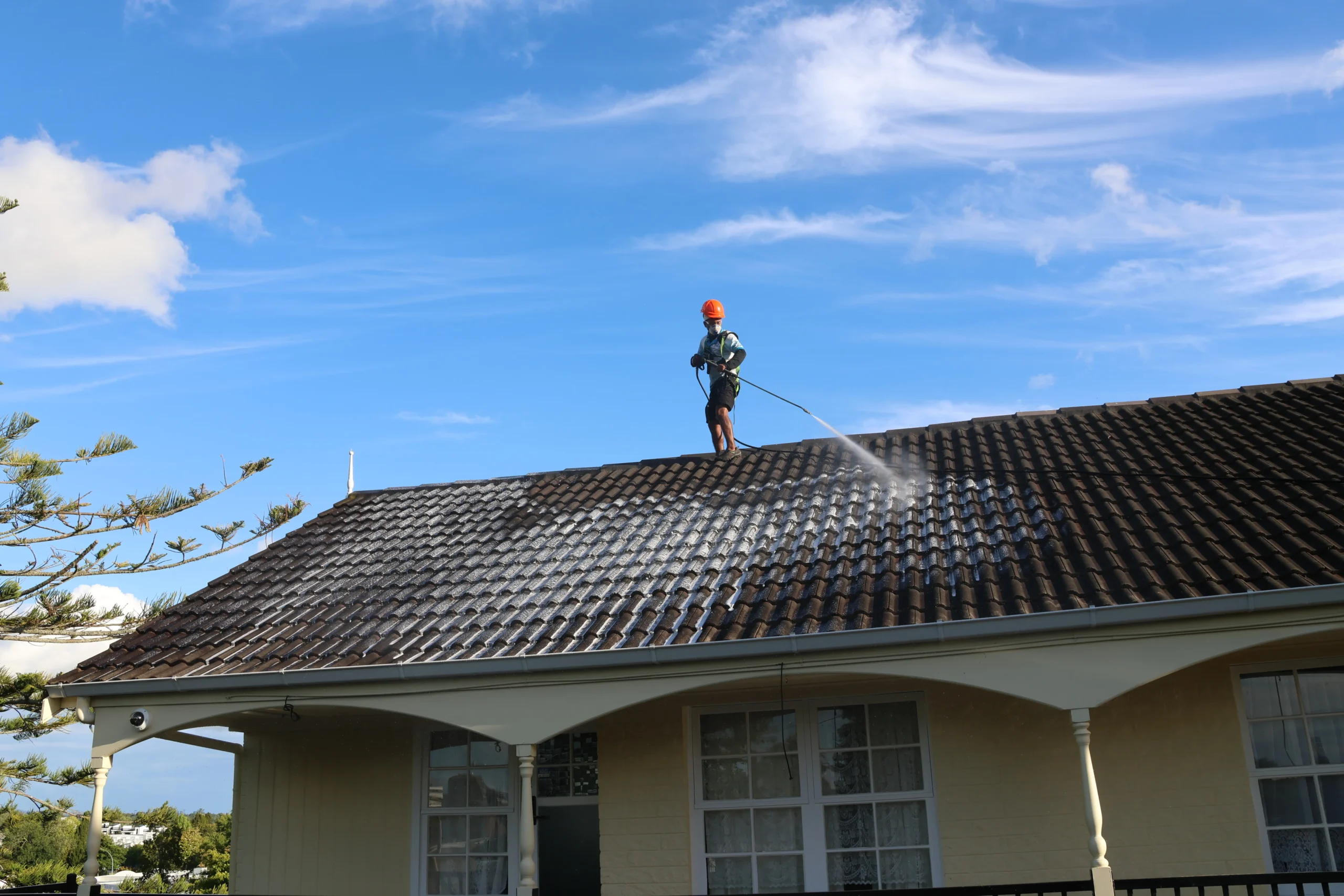 How Long Does Roof Moss Treatment Last in NZ?
