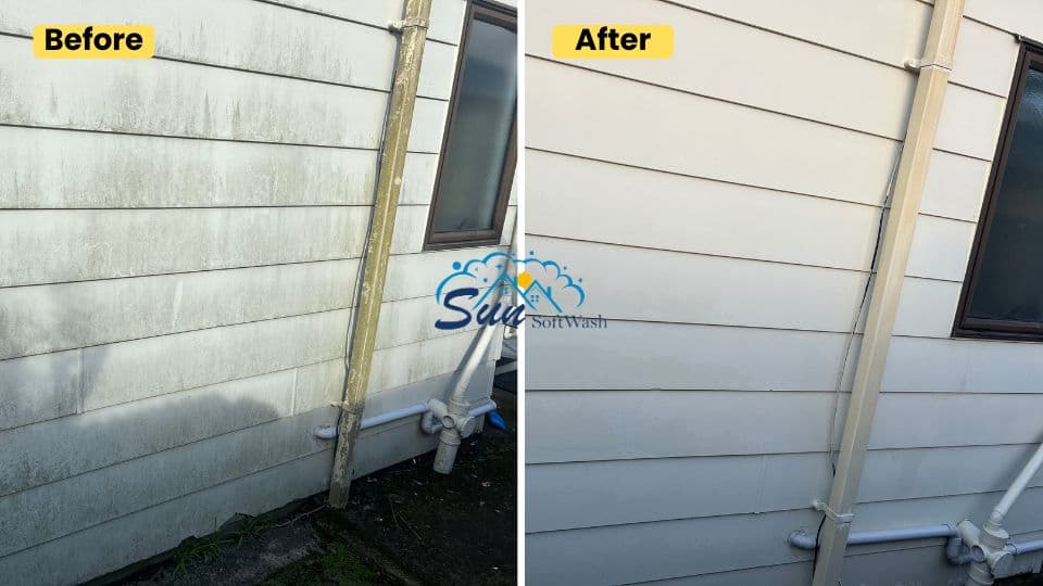 How to Remove Black Stains on House Exterior NZ | Sun SoftWash