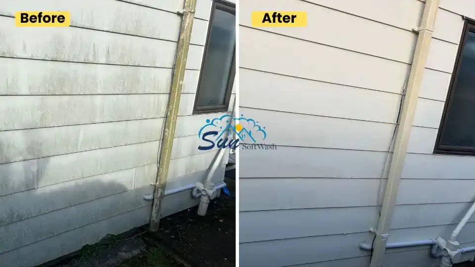 How to Remove Black Stains on House Exterior NZ | Sun SoftWash