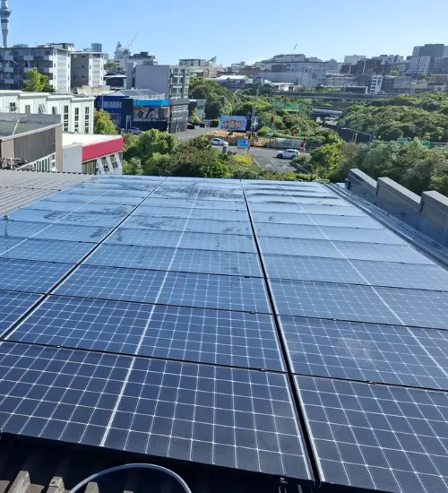 solar panel cleaning hamilton