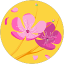 Home 49 sone maui profile picture